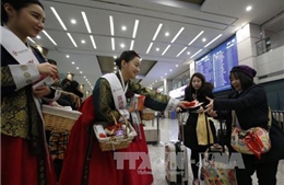 Nhu cầu du lịch trên thế giới duy trì đà tăng 